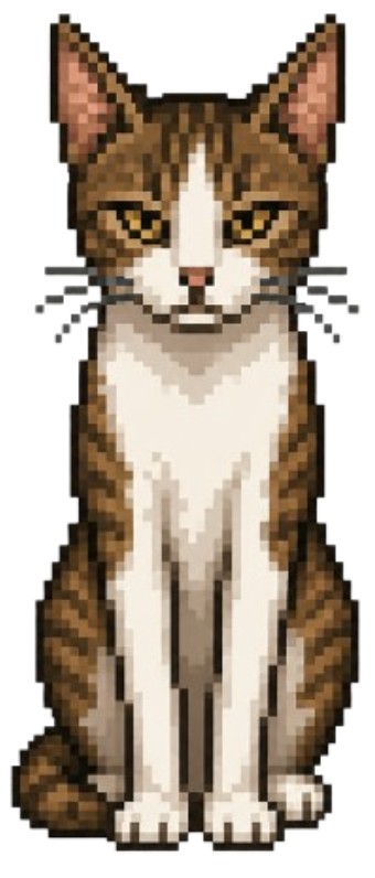Brown Tabby