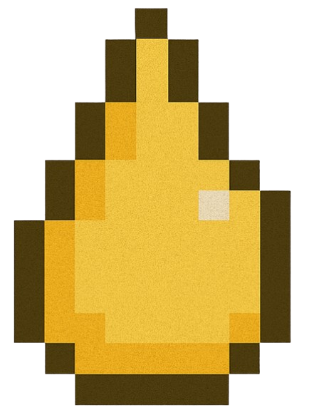 Bladder