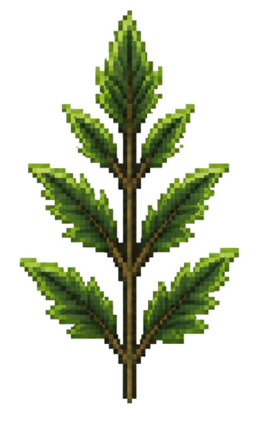 Green Sewer Moss