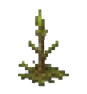Moss stage 1